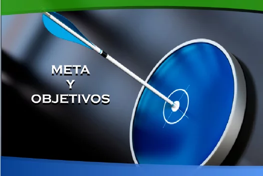meta y objetivo